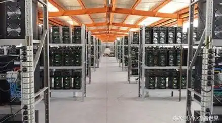 A mining farm powered by solar panels, demonstrating a commitment to renewable energy.