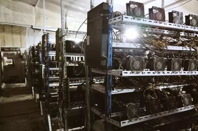 Modern hosted mining farm with ASIC rigs