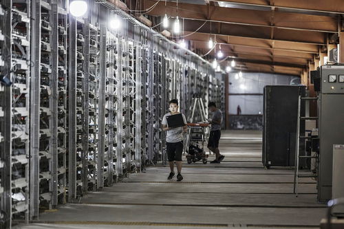 Bitcoin mining rig setup in a Dutch mining farm
