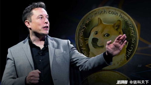 Dogecoin mining facility